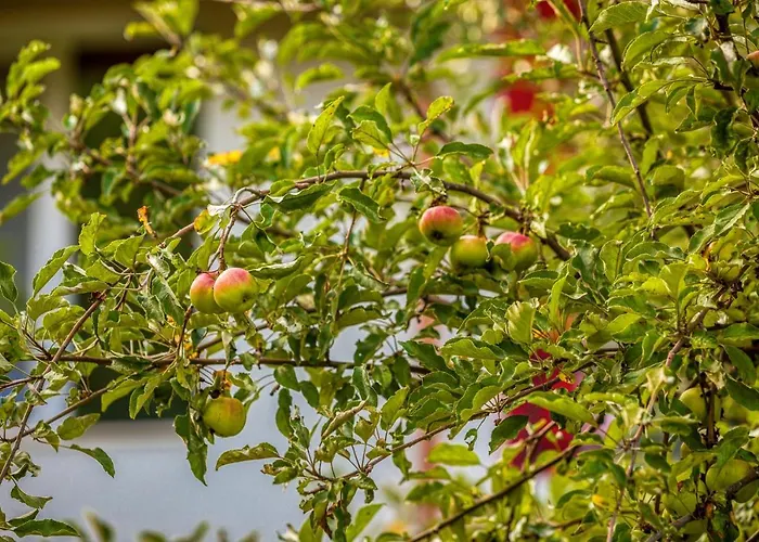 Mountain View Bulgaria 4*